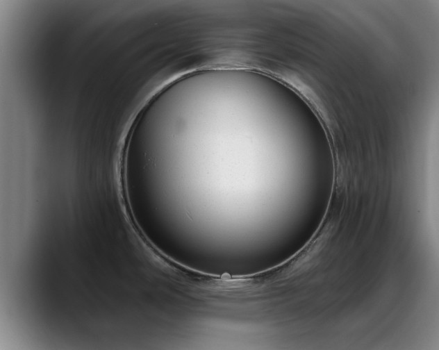 X0000088841486200706141529