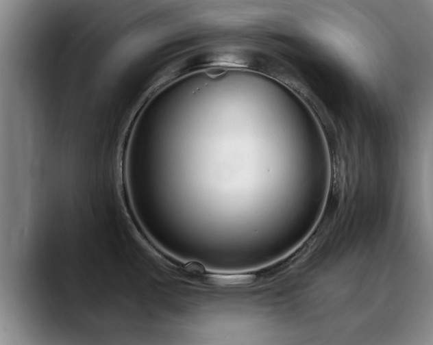 X0000088841487200706141529