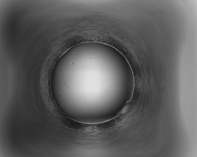 X0000088841489200706141529