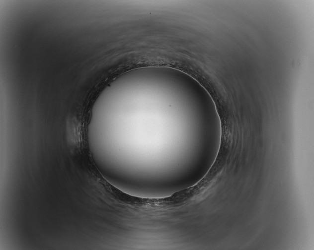 X0000088841490200706141529