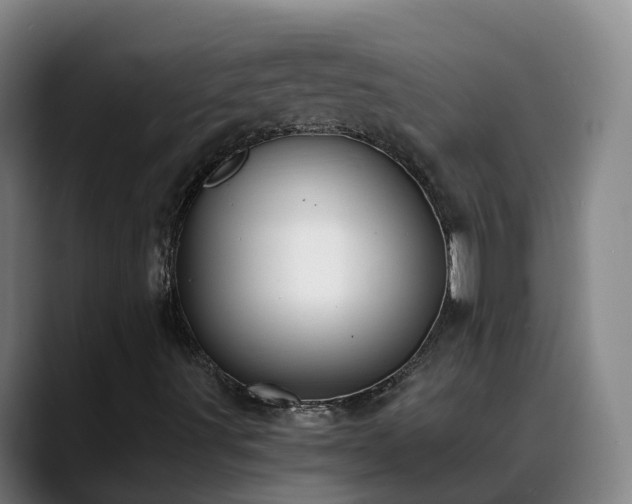 X0000088841491200706141529