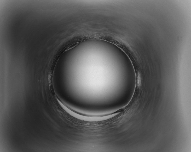 X0000088841492200706141529