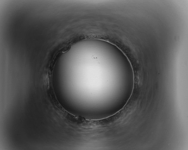 X0000088841493200706141529