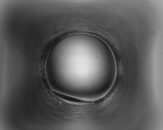 X0000088841494200706141529