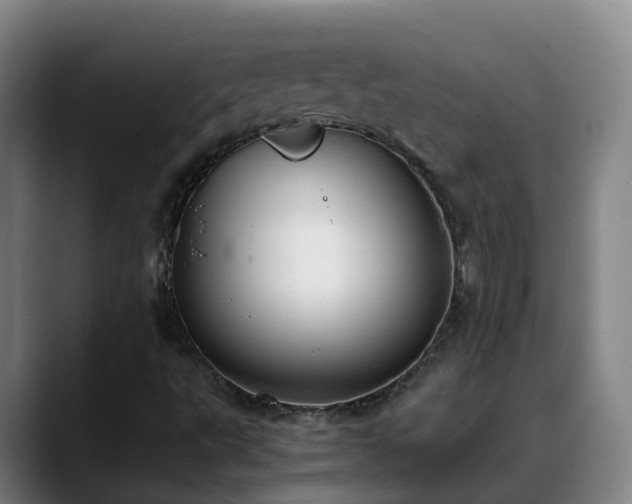 X0000088841495200706141529