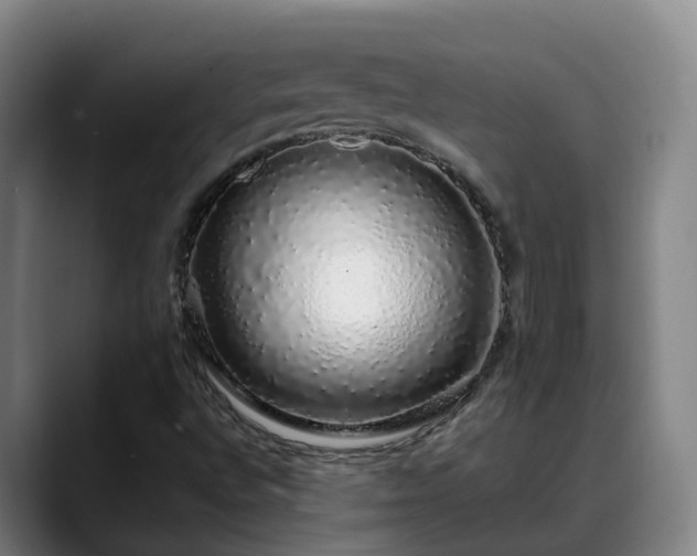 X0000088841496200706141529