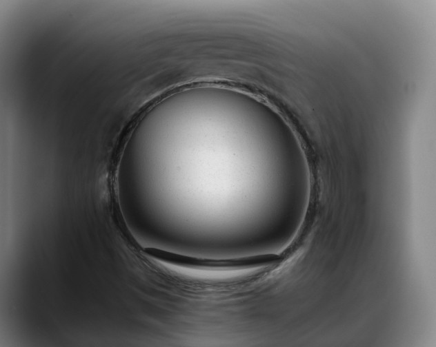 X0000088841497200706141529