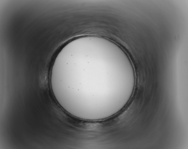 X0000088841498200706141529