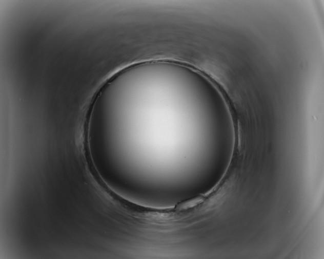 X0000088841500200706141529