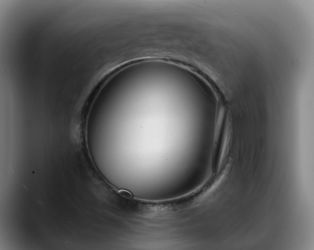 X0000088841501200706141529