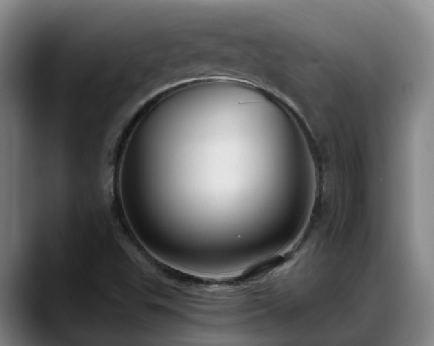 X0000088841503200706141529