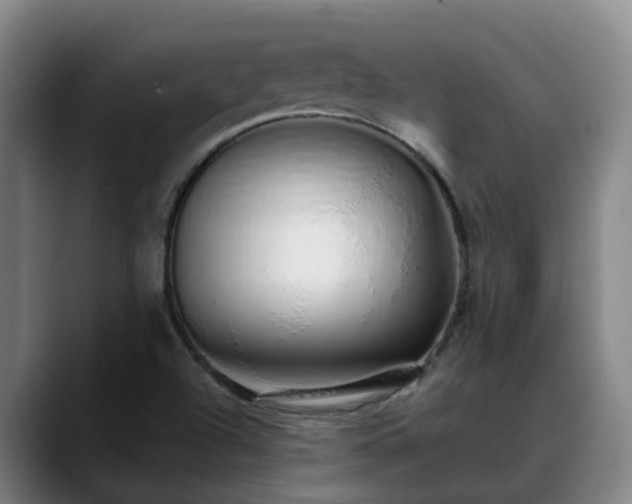 X0000088841504200706141529