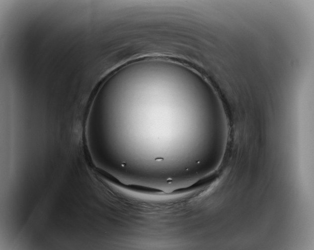 X0000088841505200706141529