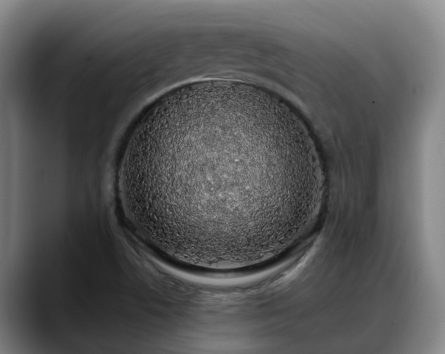 X0000088841506200706141529