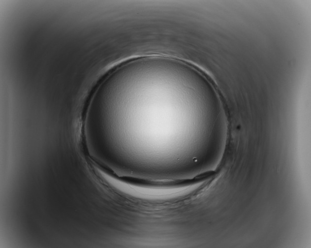 X0000088841507200706141529