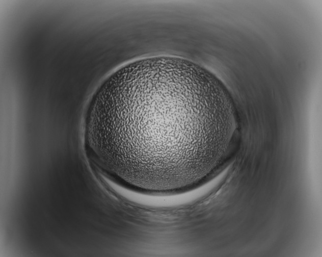 X0000088841508200706141529