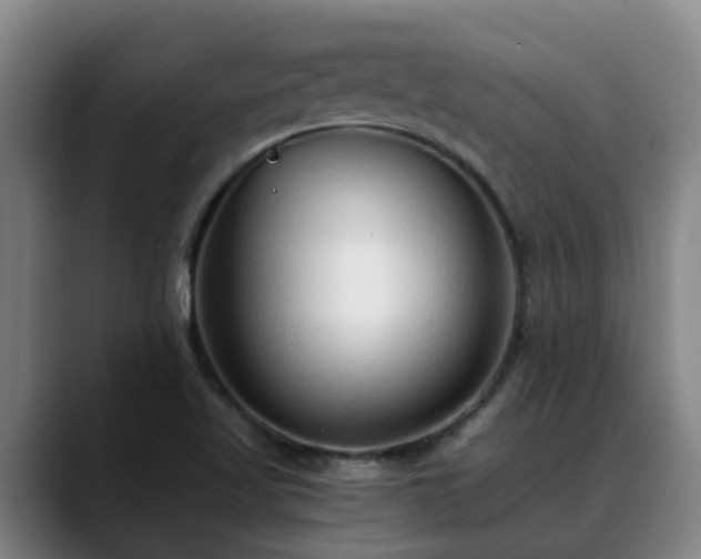 X0000088841509200706141529