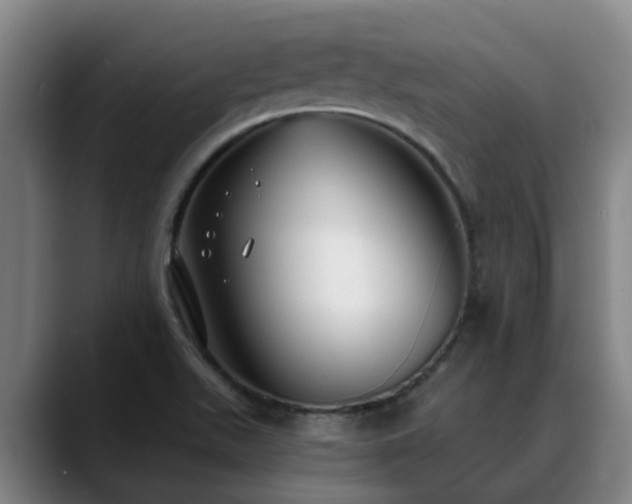 X0000088841511200706141529