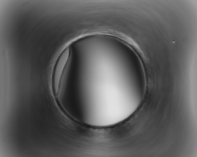 X0000088841512200706141529