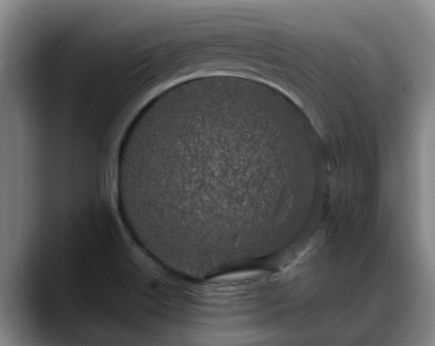 X0000088841515200706141529