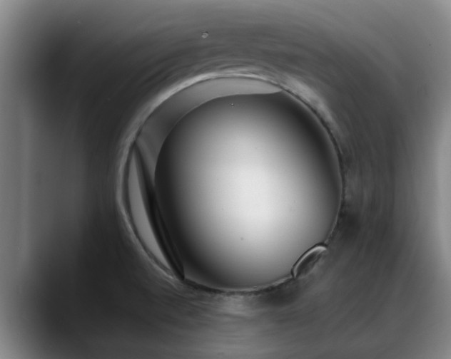 X0000088841520200706141529