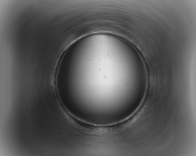 X0000088841521200706141529