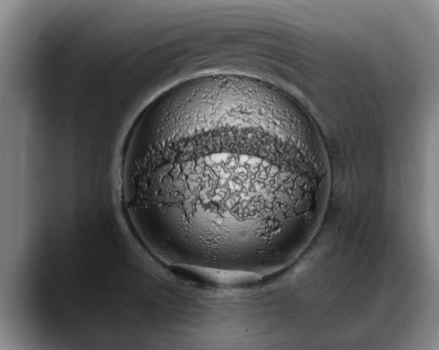 X0000088841522200706141529