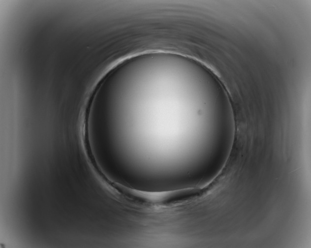 X0000088841523200706141529