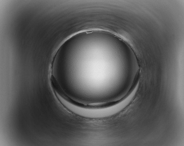 X0000088841524200706141529