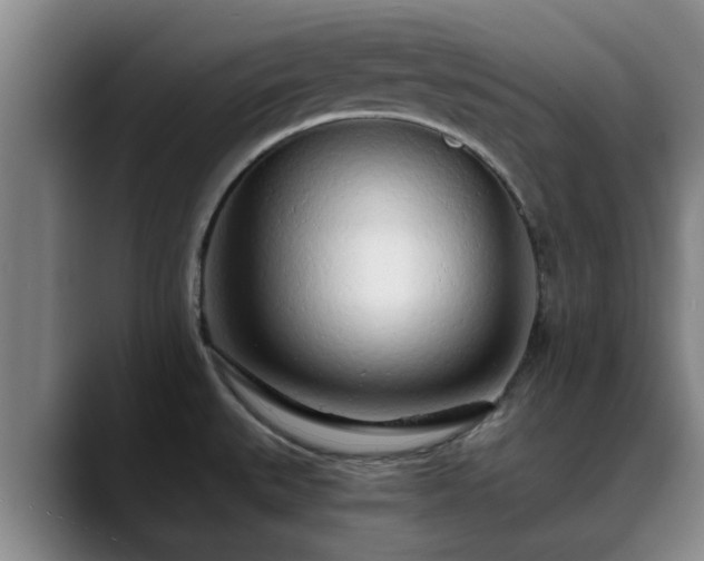 X0000088841527200706141529