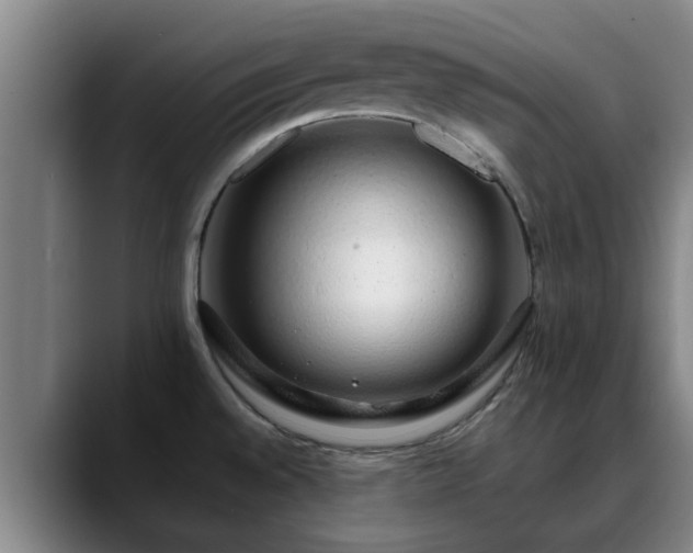 X0000088841528200706141529