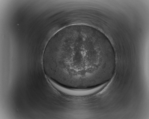 X0000088841529200706141529