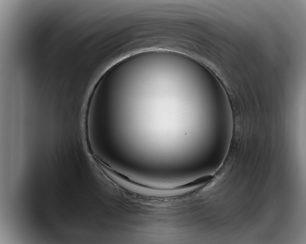 X0000088841530200706141529