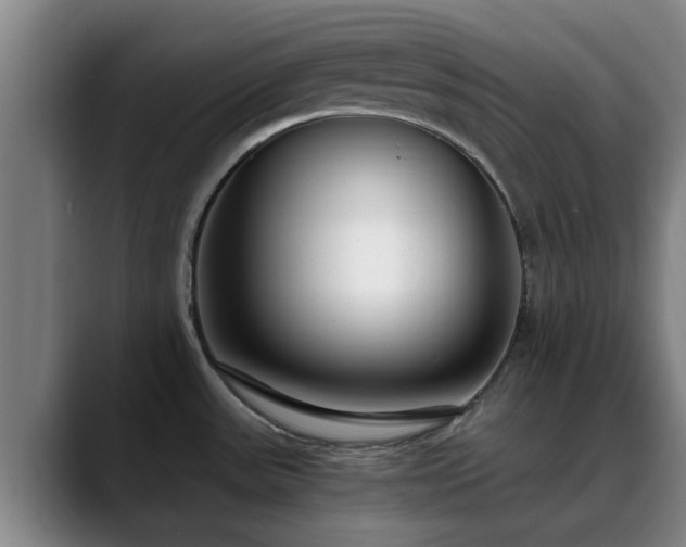 X0000088841531200706141529