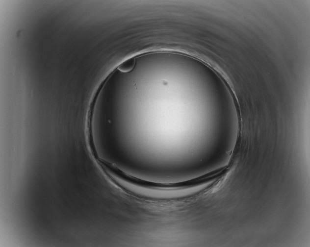 X0000088841533200706141529