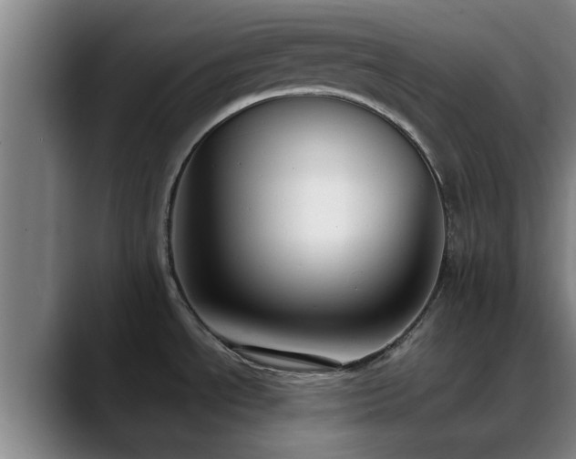 X0000088841534200706141529