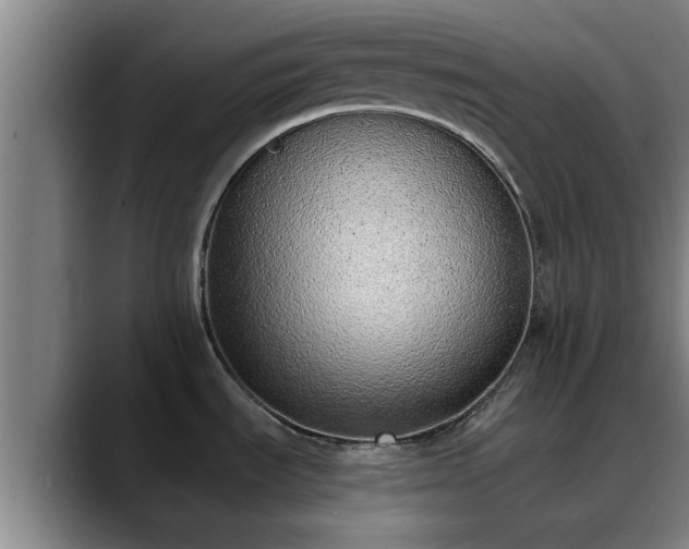 X0000088841535200706141529