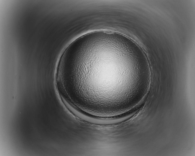 X0000088841536200706141529