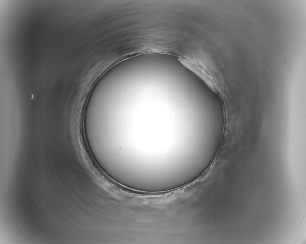 X0000088840001200706211841