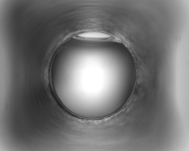 X0000088840002200706211841