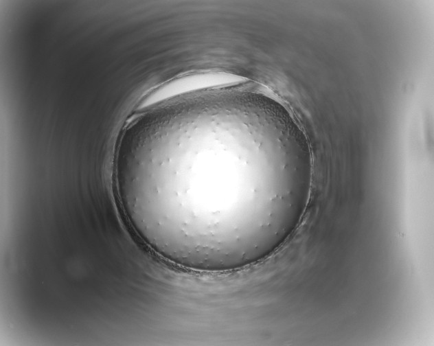 X0000088840003200706211841