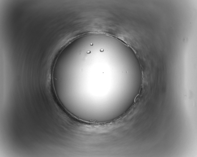 X0000088840005200706211841