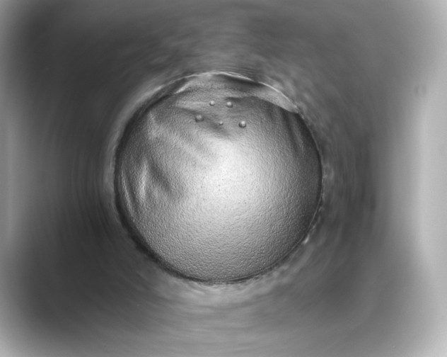 X0000088840006200706211841