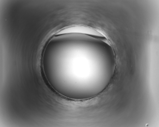 X0000088840007200706211841