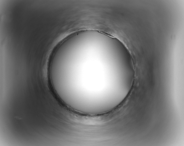 X0000088840008200706211841