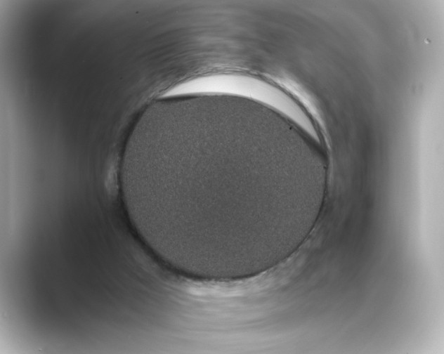 X0000088840009200706211841