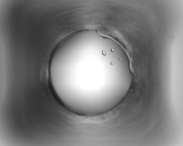 X0000088840011200706211841