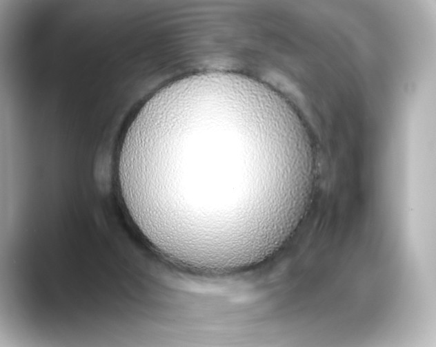 X0000088840012200706211841