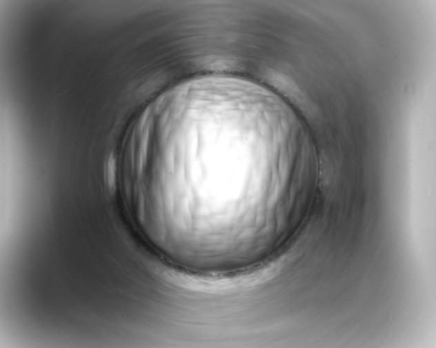 X0000088840014200706211841