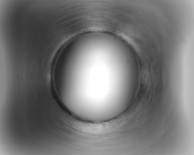 X0000088840015200706211841